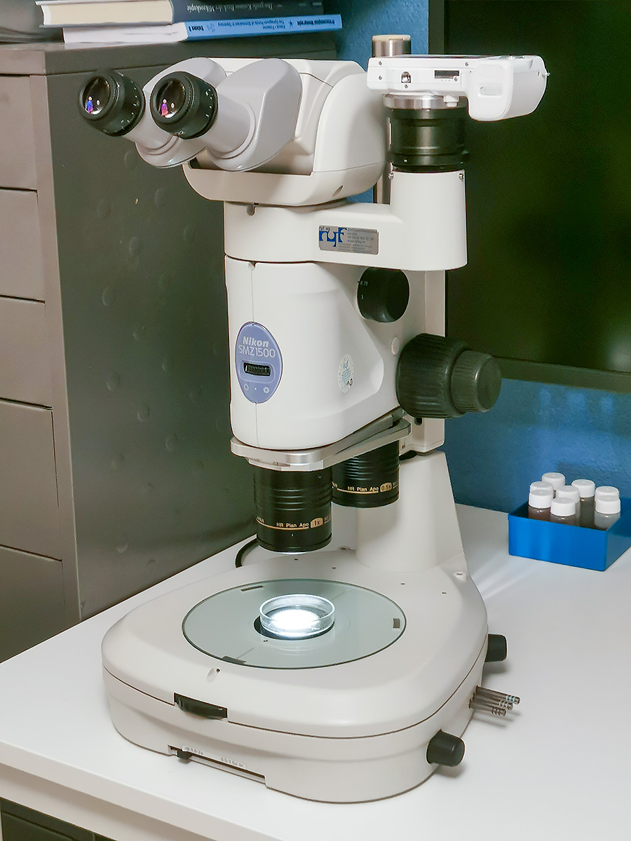 Nikon SMZ1500 Stereomikroskop